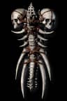 Ancients' Pledge - Bone Shield runeword for Diablo II: Resurrected - Sanctuary Relic