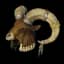 Metamorphosis - Druid Pelt +3 To Fury runeword for Diablo II: Resurrected - Sanctuary Relic