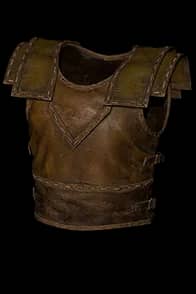 Scarab Husk