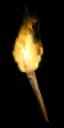 Amazon Torch - 10-13 All Attributes / 10-13 All Resistances unique item for Diablo II: Resurrected - Sanctuary Relic