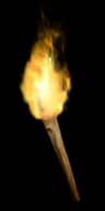 Amazon Torch - 10-13 All Attributes / 10-13 All Resistances unique item for Diablo II: Resurrected - Sanctuary Relic