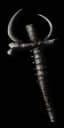 Boneshade - 2 To Bone Spirit, 3 To Bone Spear, 3 To Bone Wall, 5 To Bone Armor, 5 To Teeth - Perfect unique item for Diablo II: Resurrected - Sanctuary Relic