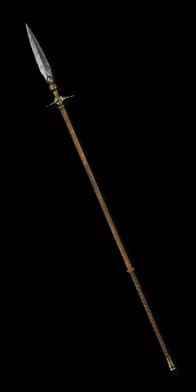 Arioc's Needle