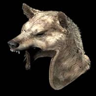 Cerebus' Bite