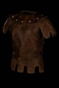 Blinkbat's Form - Random Roll