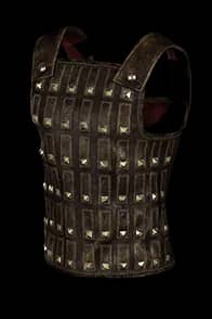 The Gladiator's Bane