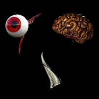 Organ Set for Diablo II: Resurrected - Sanctuary Relic