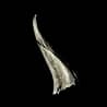 Diablo's Horn