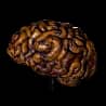 Mephisto's Brain