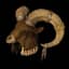 Aldur'S Stony Gaze - 40-49% Cold Res, 157-171 Defense set item for Diablo II: Resurrected - Sanctuary Relic