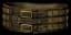 Trang-Oul'S Girth - 134-165 Defense, 25-49 Mana set item for Diablo II: Resurrected - Sanctuary Relic