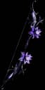 Widowhail - 220-239% Quiver Bonus unique item for Path of Exile - Sanctuary Relic