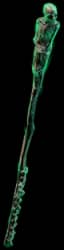 Cane Of Kulemak - Veiled - 2 Prefix unique item for Path of Exile - Sanctuary Relic