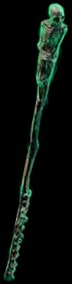 Cane Of Kulemak - Veiled - 2 Prefix unique item for Path of Exile - Sanctuary Relic