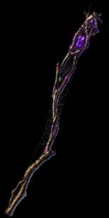 Cane Of Unravelling - 6 Links unique item for Path of Exile - Sanctuary Relic