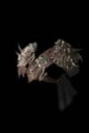 The Relentless Heart unique item for Diablo IV - Sanctuary Relic