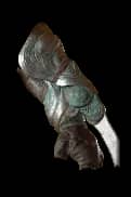 Fist Of The Iron Rose unique item for Diablo IV - Sanctuary Relic