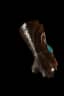 Frostburn - 3 Greater Affix unique item for Diablo IV - Sanctuary Relic