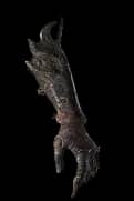 Hand Of Apotheosis