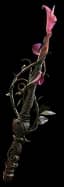 Lifesprig - 2 Skills unique item for Path of Exile 2 - Sanctuary Relic