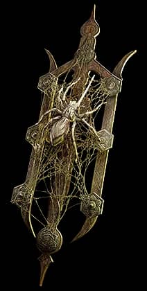 Lycosidae