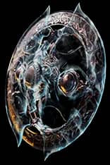 Shattershard - 12% Chance To Block unique item for Path of Exile - Sanctuary Relic