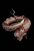 The Fecund Seal unique item for Diablo IV - Sanctuary Relic
