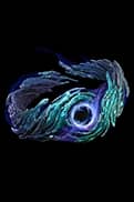 Thundergod'S Blessing unique item for Diablo IV - Sanctuary Relic