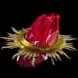 Vitality for Path of Exile - Sanctuary Relic