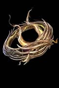 Wreath Of Auric Laurel unique item for Diablo IV - Sanctuary Relic