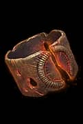 X'Fal'S Corroded Signet - 4 Greater Affix unique item for Diablo IV - Sanctuary Relic