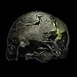 Preserved Cranium for Path of Exile 2 - Sanctuary Relic Preserved Cranium for Path of Exile 2 - Sanctuary Relic