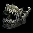 Preserved Jawbone for Path of Exile 2 - Sanctuary Relic Preserved Jawbone for Path of Exile 2 - Sanctuary Relic