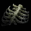 Preserved Rib for Path of Exile 2 - Sanctuary Relic Preserved Rib for Path of Exile 2 - Sanctuary Relic