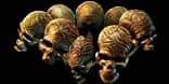 Replica Headhunter unique item for Path of Exile - Sanctuary Relic Replica Headhunter unique item for Path of Exile - Sanctuary Relic